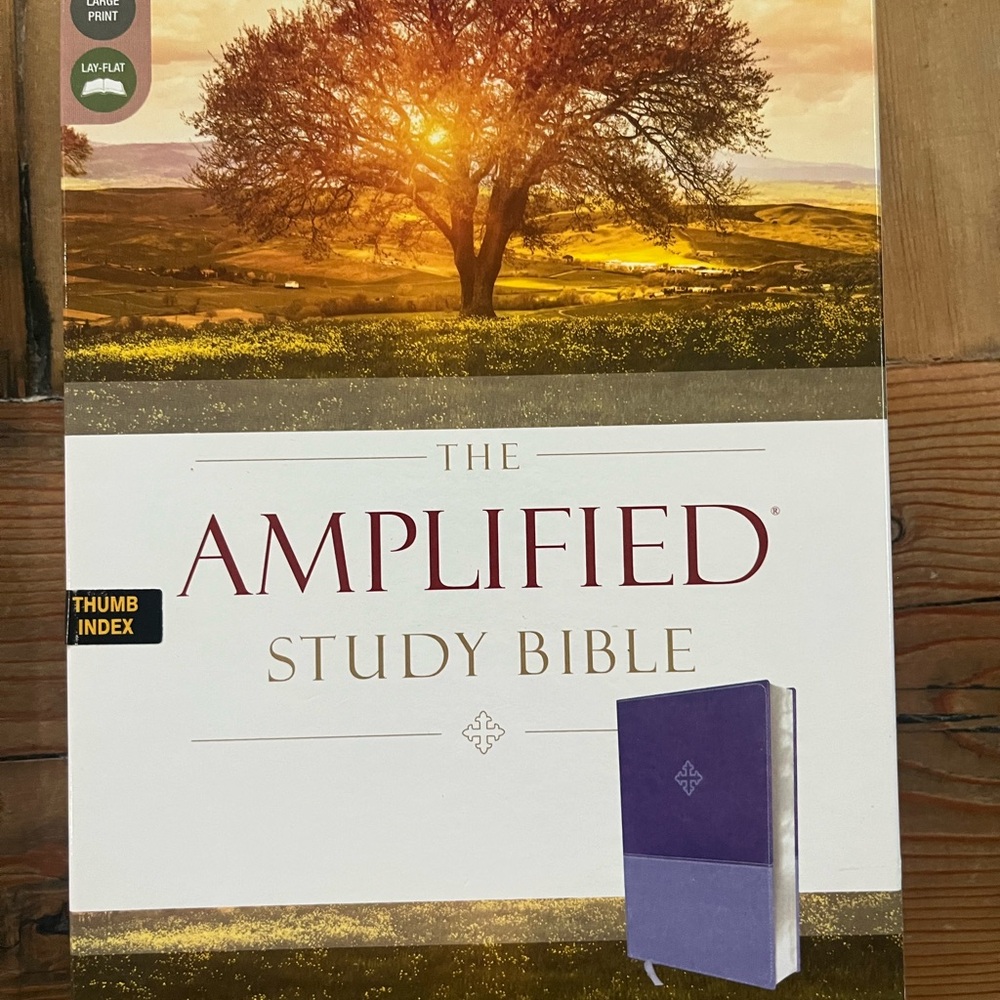 Amplified Study Bible